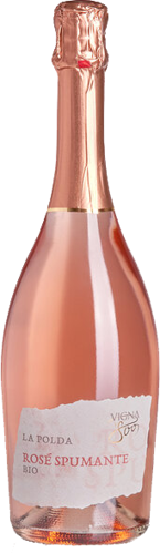 Immagine di Rosè spumante  IGT - 750 ml BIO  VIGNA 800 .