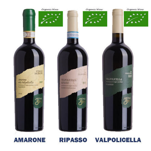 Immagine di AMARONE - RIPASSO - VALPOLICELLA BIO