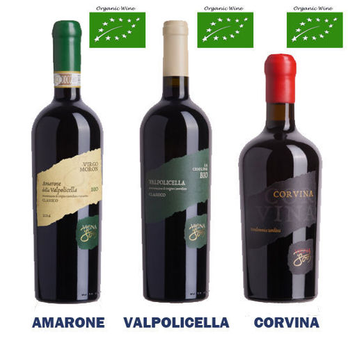 Immagine di AMARONE - VALPOLICELLA - CORVINA